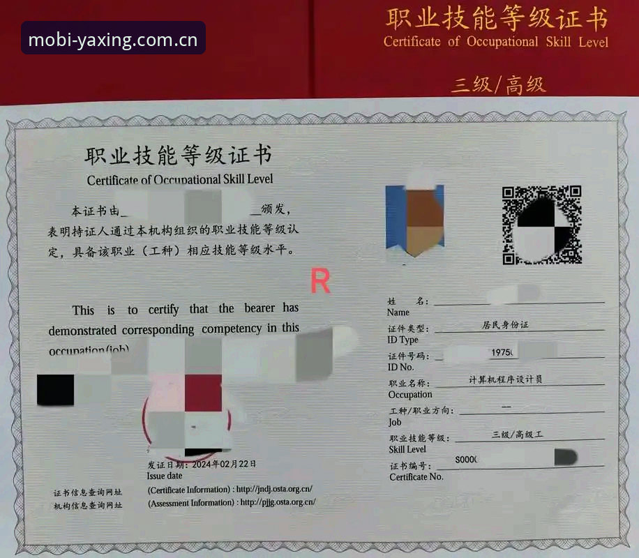 资深技术评测员分享：亚星手机平台v2.3.0下载安装全流程使用心得